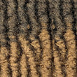 Outre X-Pression Twisted Up Crochet Braid - 3X Springy Afro Twist 16"