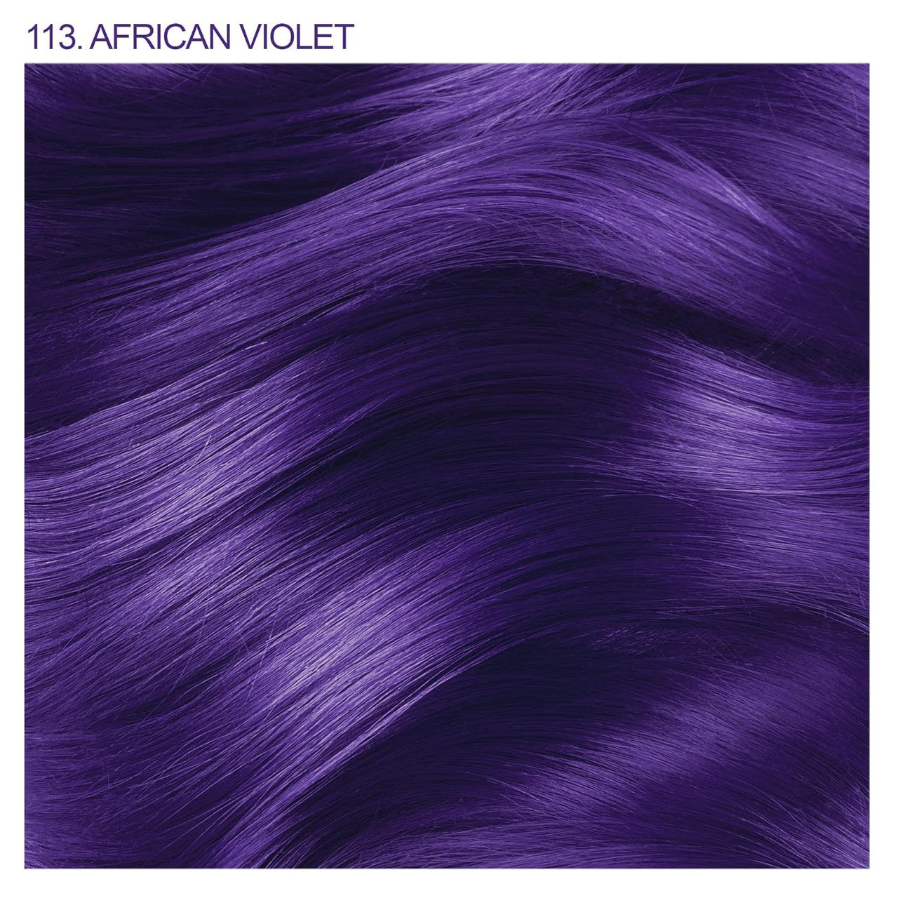 Adore African Violet
