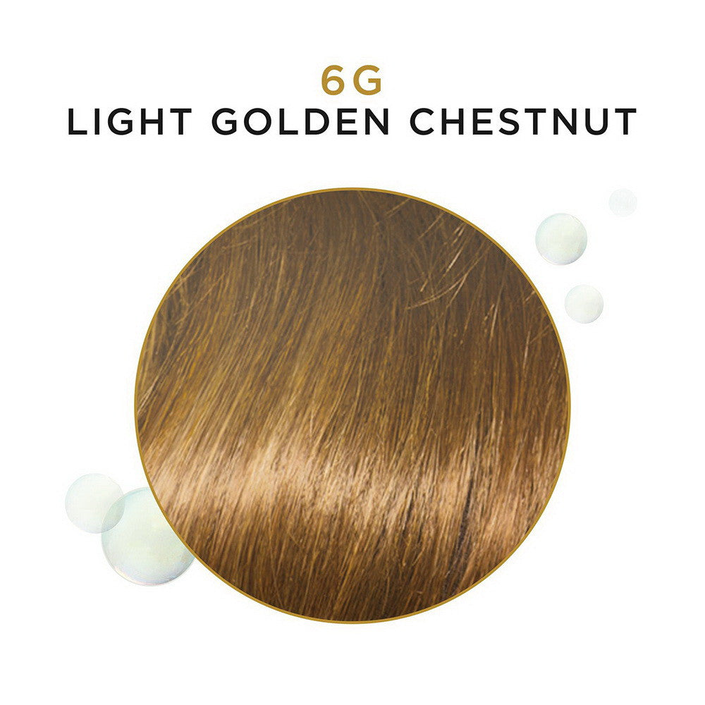 Clairol Beautiful Collection Advanced Gray Solution Hair Color, 6G Light Golden Chestnut, 3oz