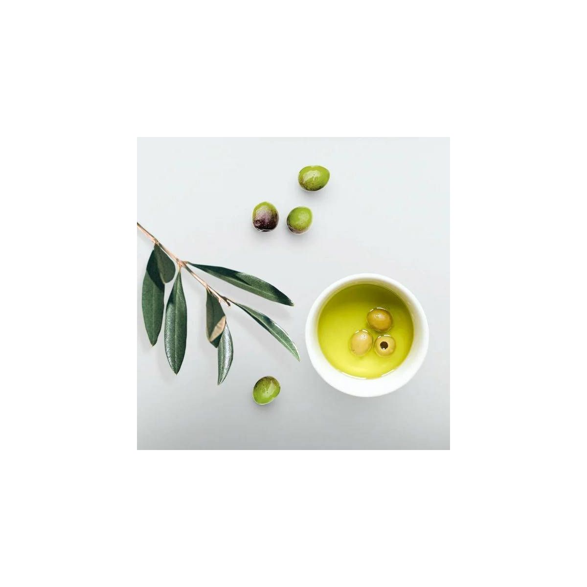 Eco Style Professional Styling Gel Olive Oil