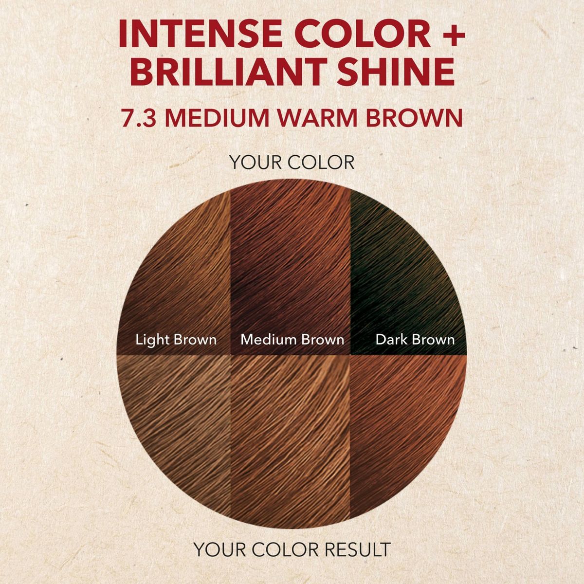Creme of Nature Exotic Shine Permanent Hair Color - Medium Warm Brown 7.3 - 4.47oz