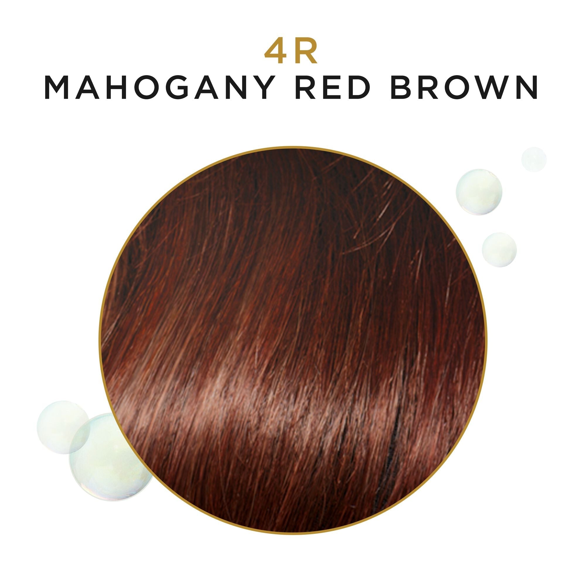 Clairol Beautiful Collection Advanced Gray Solution Hair Color, 4R Mahogany Red Brown, 3oz