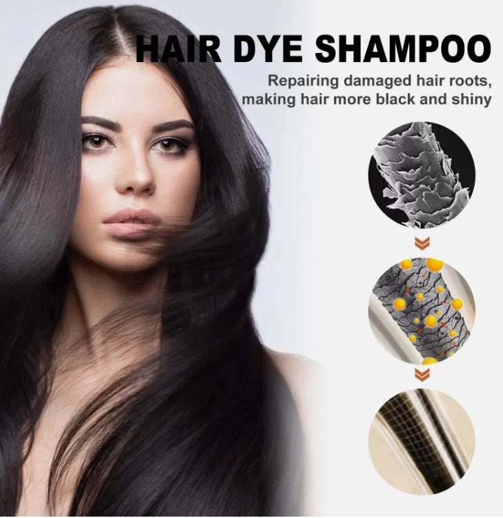 BTL 3 in 1 Hair Dye Shampoo Plants Ingredients Instant Color - Black 500ml