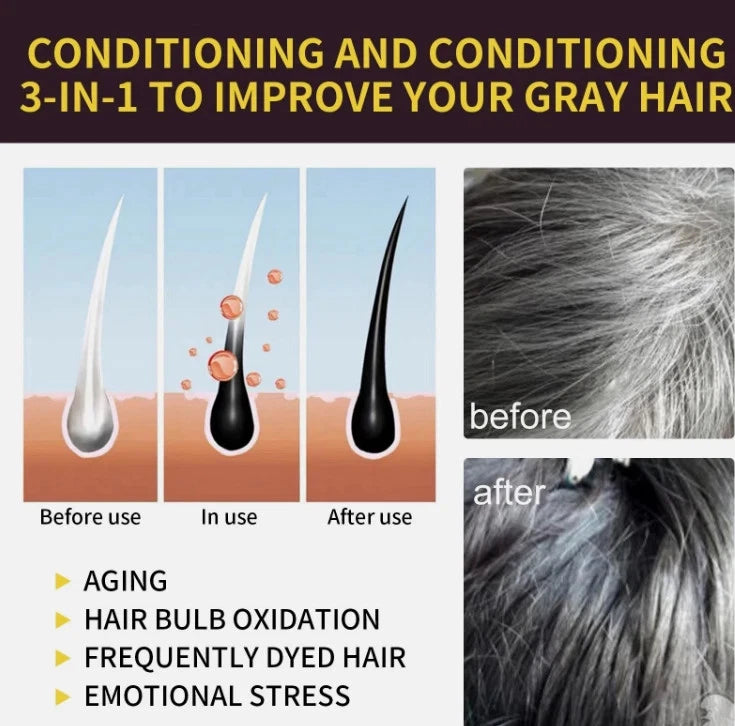 BTL 3 in 1 Hair Dye Shampoo Plants Ingredients Instant Color - Black 500ml